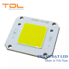 Chip LED COB 50W kiểu TF CHIP-COB050T-TF24V
