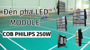 den-pha-led-module-cob-250w