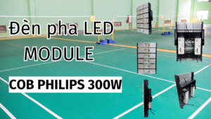 den-pha-led-module-cob-300w